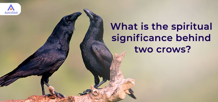 Spiritual Significance Behind Two Crows