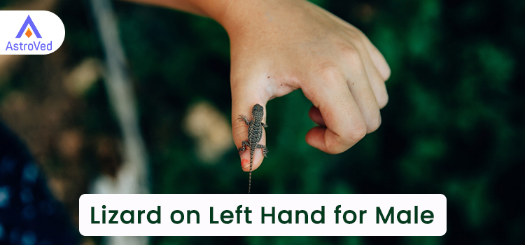 Lizard Falls on the Left Hand of a Male